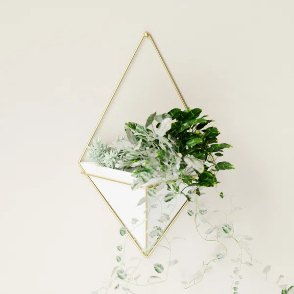 Trigg Planter Wall Decor | Wayfair North America