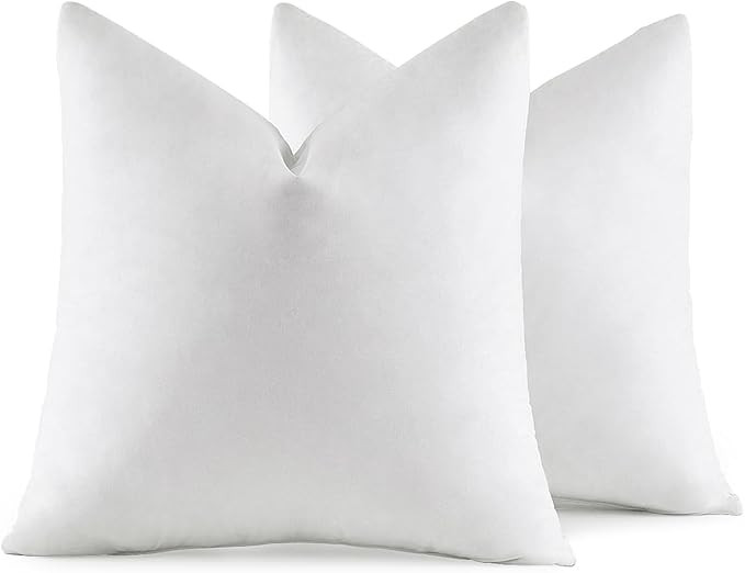 MIULEE 22x22 Pillow Inserts, Pack of 2 Feather Throw Pillow Inserts, Decorative Fluffy Throw Pill... | Amazon (US)