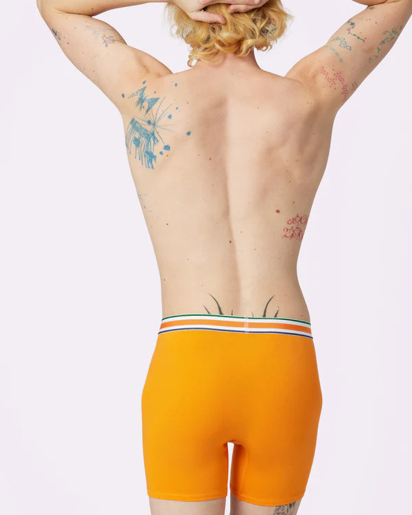 Free Comfort Boxer Brief | New:Cotton (Citrus) | Parade