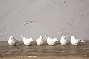Creative Co-Op DE5729 Set of 6 White Ceramic Birds | Amazon (US)