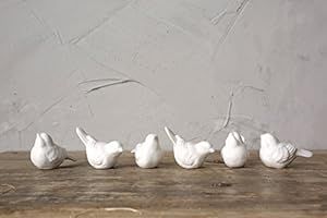 Creative Co-Op DE5729 Set of 6 White Ceramic Birds | Amazon (US)