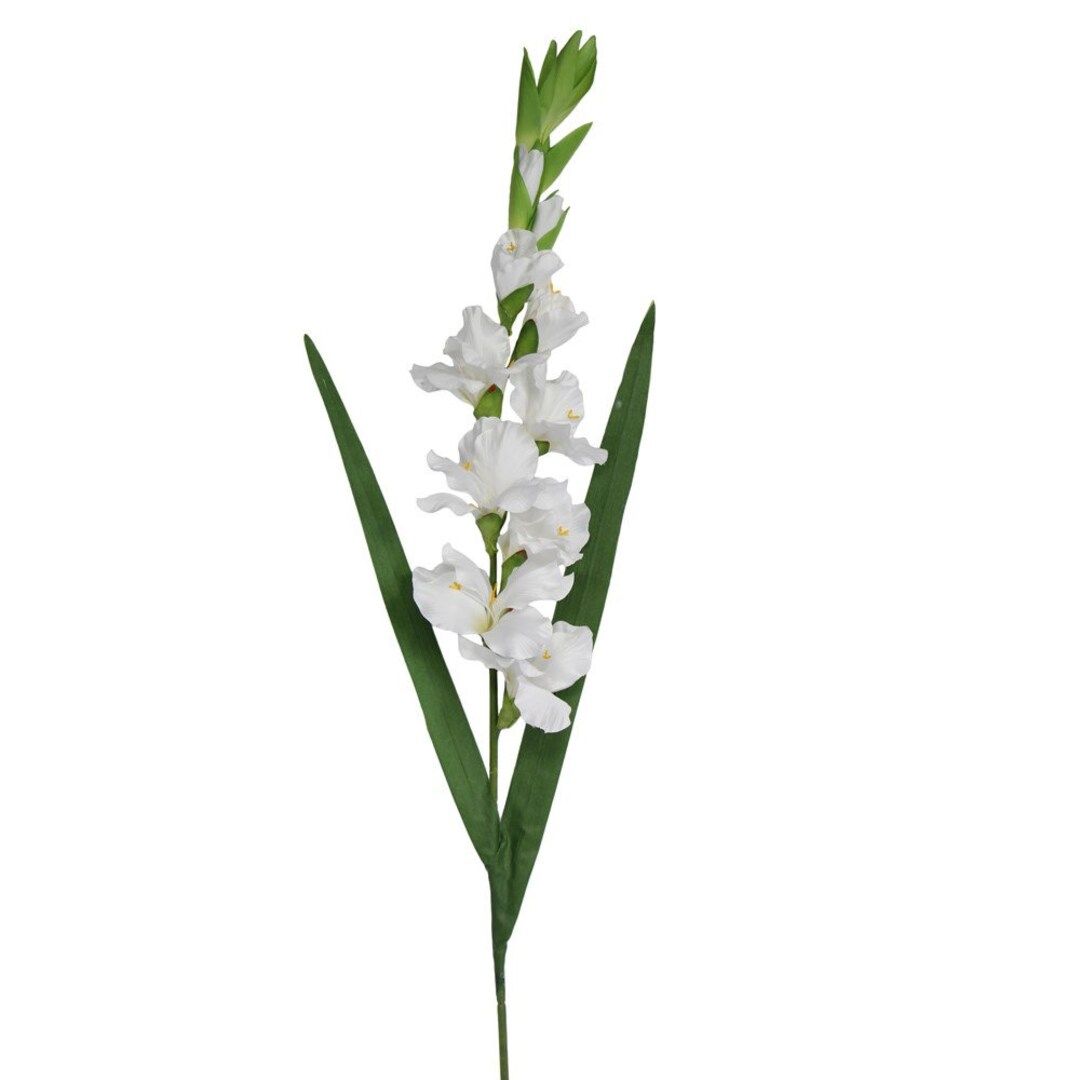 Stem 92cm  White Gladioli - Etsy | Etsy (US)