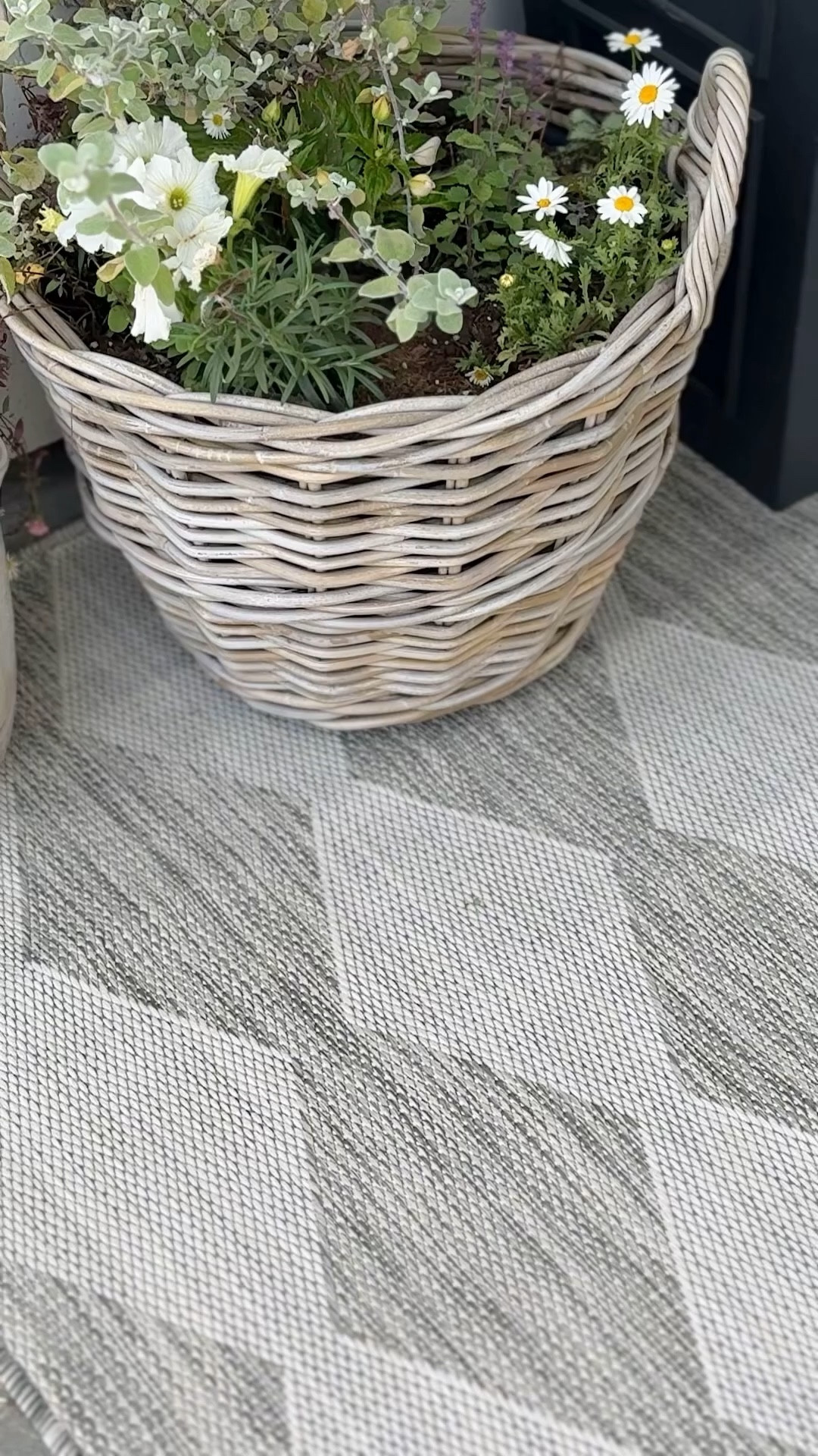 This rug has been sold out forever!  I found it in a few sizes!  It is one of my all time favorite outdoor rugs!

#LTKSeasonal #LTKSaleAlert #LTKHome