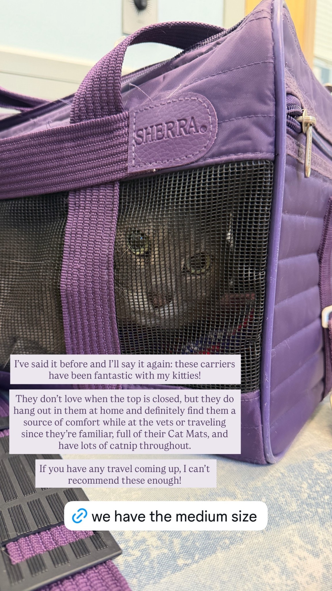 I’ve said it before and I’ll say it again: these carriers have been fantastic with my kitties! They don’t love when the top is closed, but they do hang out in them at home and definitely find them a source of comfort while at the vets or traveling since they’re familiar, full of their Cat Mats, and have lots of catnip throughout. If you have any travel coming up, I can’t recommend these enough!

#LTKdayinmylife #LTKFindsUnder100 #LTKTravel