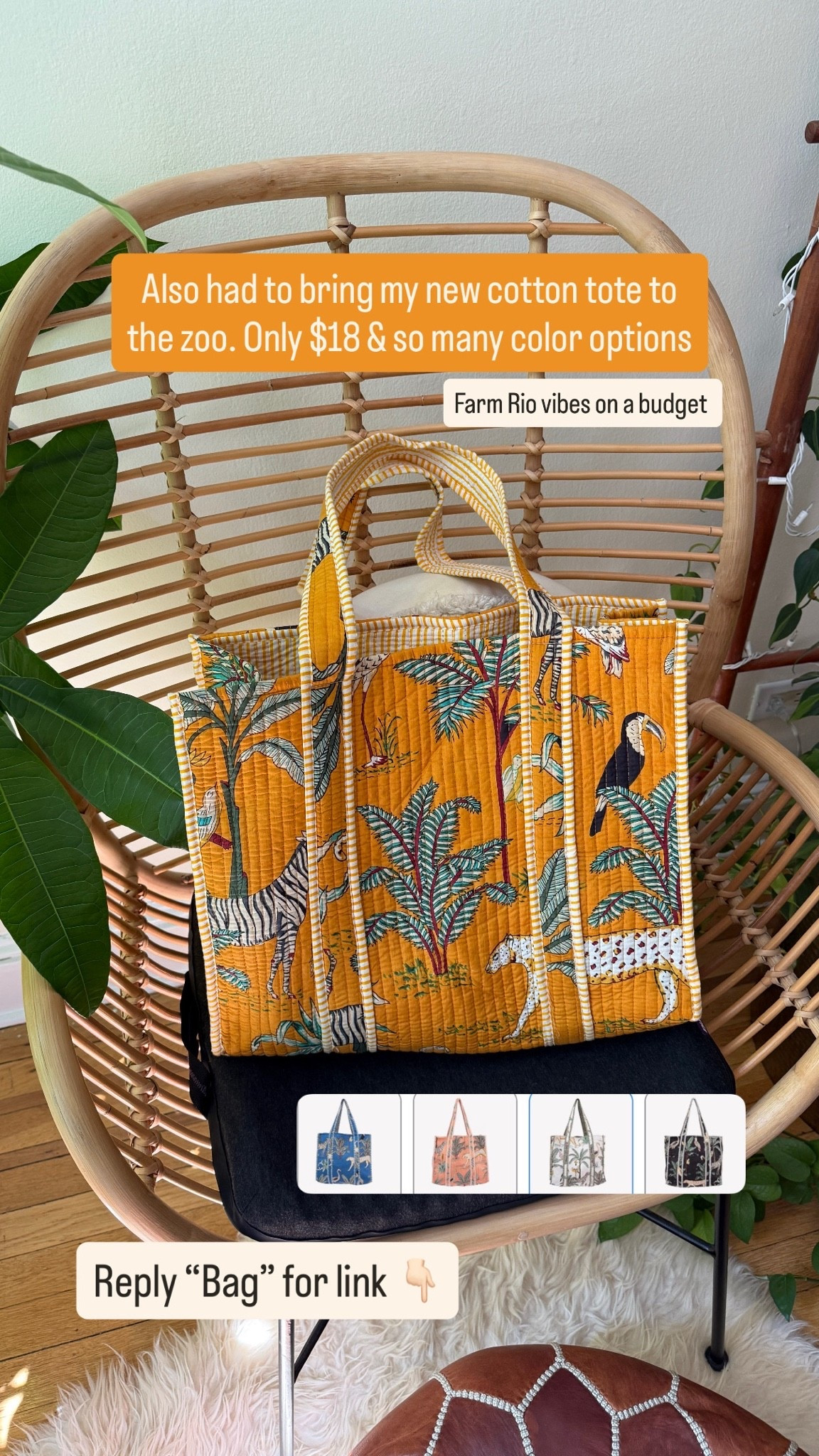 Amazon cotton tote bag for the win! Under $20 and lots of color options. Small inside pocket for phone. #amazon