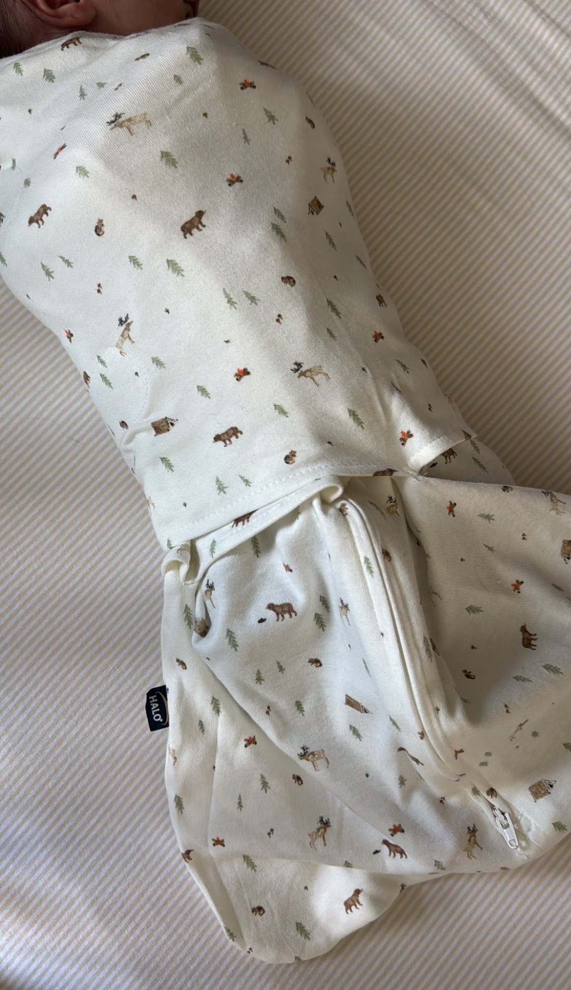 Ordered another Halo Sleepsack Swaddle! We’ve tried 4 different swaddles & this type is my favorite! 


#LTKKids #LTKBaby #LTKmomlife