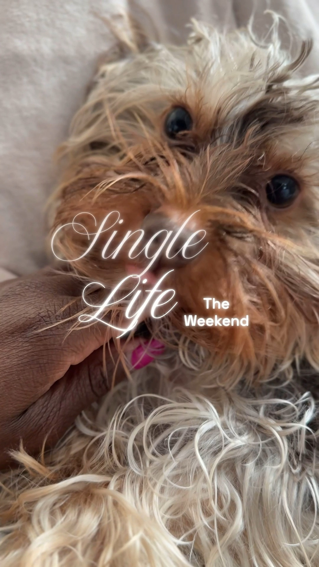 Single Life Diary 🩷

#LTKgrwm #LTKdayinmylife #LTKselfcare