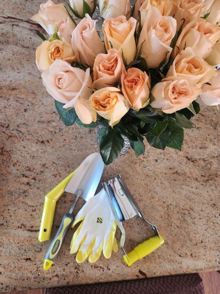 Got my cute tools for the planting seasons 

#LTKGiftGuide #LTKfamily #LTKhome