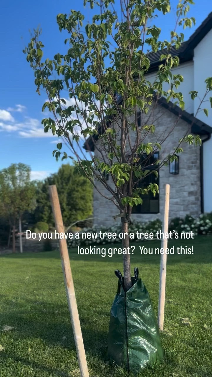 Save for later: if you recently planted a tree or having a tree that’s not looking great consider these slow watering bags. They are easy to use, simple zip them around the base of your tree and fill@up the pouch with water. I’ve seen dramatic improvements in my trees after only a week. The best part is you can use them on multiple trees by unzipping them and swapping out the trees you water every other day. Comment SHOP. 

#landscape #newtree #tree #trees #treeoflife #newbuild #homebuild #designbuild #mydomaine #frontyard #backyard #dreamhome #interiordesignideas #interiordesigners #stone #hydrangea #englishhome #backyardgarden #homeinspo