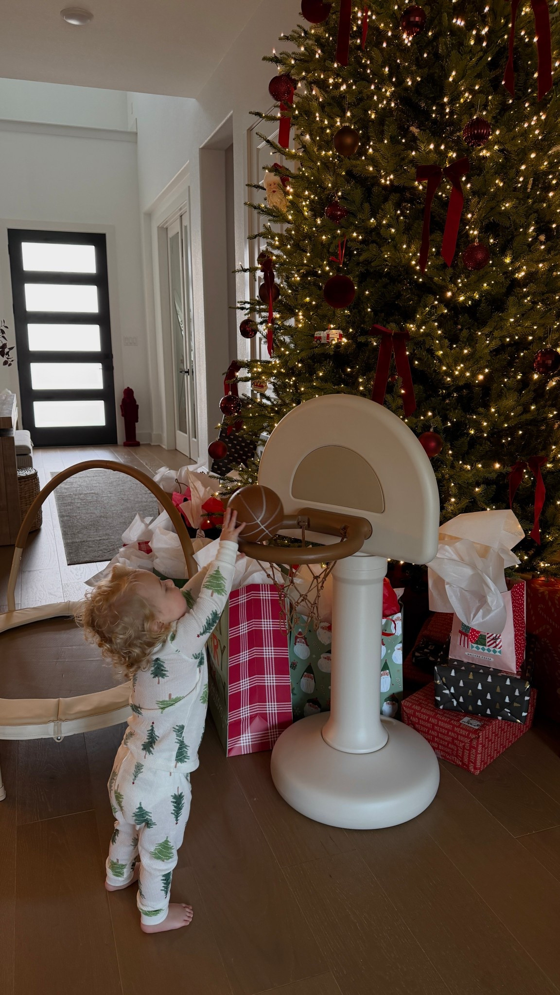 lucy’s new basketball hoop and trampoline!
