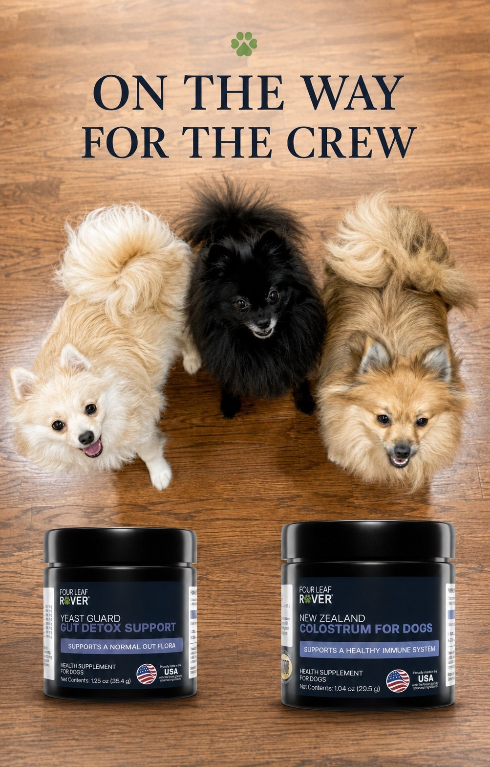 Something new is on the way for the crew! 🐾 We were able to choose two products to try from Four Leaf Rover and selected Yeast Guard and New Zealand Colostrum.

Eggnog’s paws tend to get especially itchy during the summer, often after even a quick potty trip outside, so I’m especially curious to see how she does with Yeast Guard as part of her routine.

When everything arrives, I’ll share package day, why we chose each product, how we introduce them and—after we’ve used them long enough—my completely honest thoughts on both.

Has anyone tried either one?

@fourleafrover

Gifted by @fourleafrover | Links are commissionable.

#Gifted #FourLeafRover #TheHouZoo #YeastGuard #DogWellness #DogSupplements #ItchyPaws #PomeranianLife #DogMomFinds #PetWellness #LTKPets #LTKFinds

Keywords: Four Leaf Rover, Yeast Guard for dogs, New Zealand Colostrum for dogs, seasonal itchy paws, dog wellness supplements, Pomeranian wellness, gifted pet products

#LTKHome #LTKmomlife #LTKmorningroutine