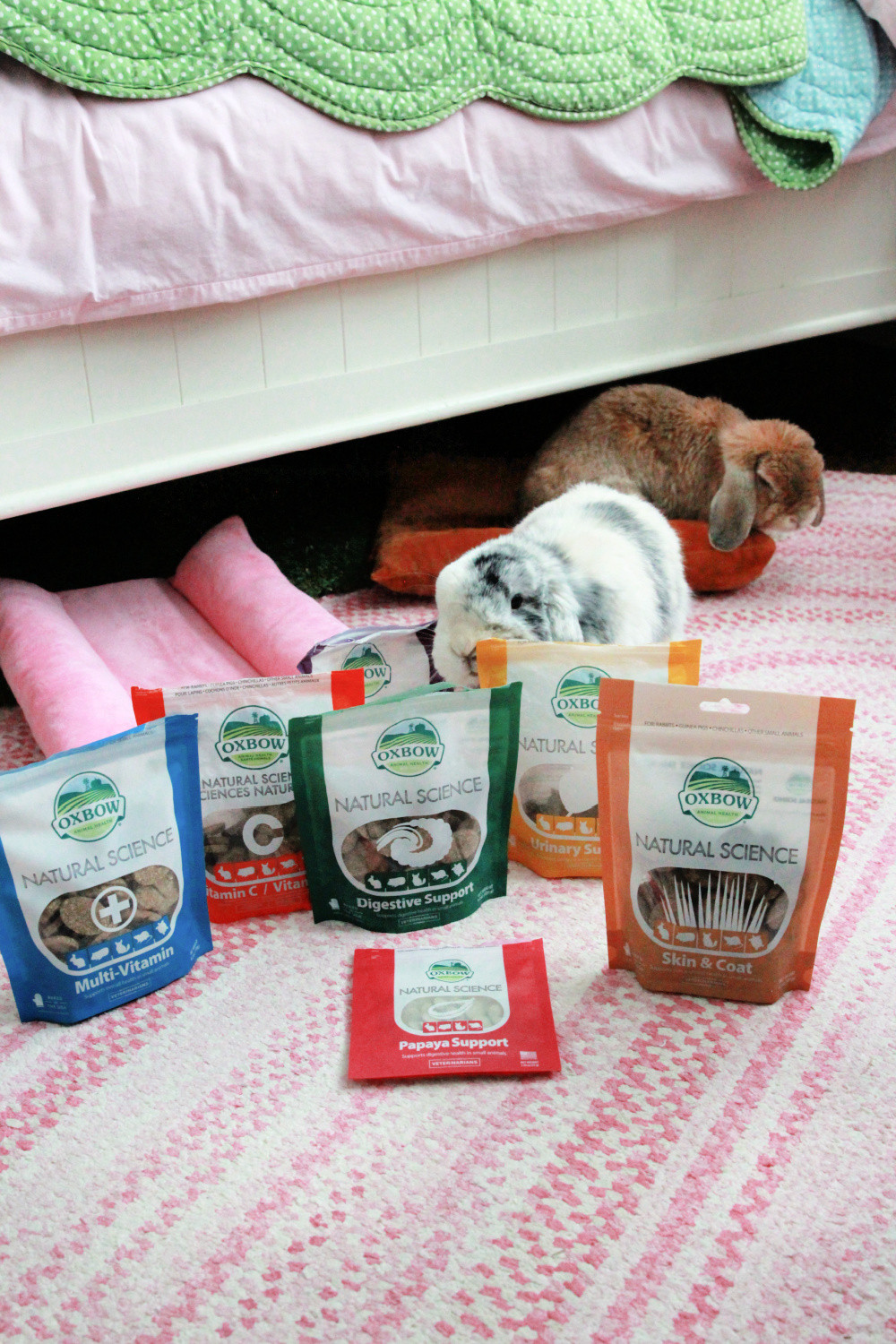 These are the vitamins I use for my bunnies 🤍
They don’t get all of them every day, but I like having a range — from vitamin C to digestive, joint, and overall support.

Ginger is 11 years and 3 months, so I really try to take the best care of her (and both of them) and keep them as healthy as possible for as long as I can 🤍

I laid these out to take photos and they were very interested… probably wondering where their pile of treats was 😅 they didn’t get all of these, but it was pretty cute.

#LTKpets #LTKhome #LTKfinds #bunnylove #rabbitcare #bunnycare #rabbitlife #petessentials #smallpetcare #bunnymom #rabbitsofinstagram #petwellness #seniorpet #cozyhome #petfavorites 

 #LTKdayinmylife #LTKstorytime #LTKHome