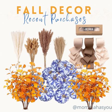 Recent fall decor purchases Amazon finds to add to collection. Blue and white ginkgo leaves faux flowers pampas grass table decor rustic farmhouse party reed grass bouquet diy your home 

#LTKBacktoSchool #LTKhome #LTKSeasonal