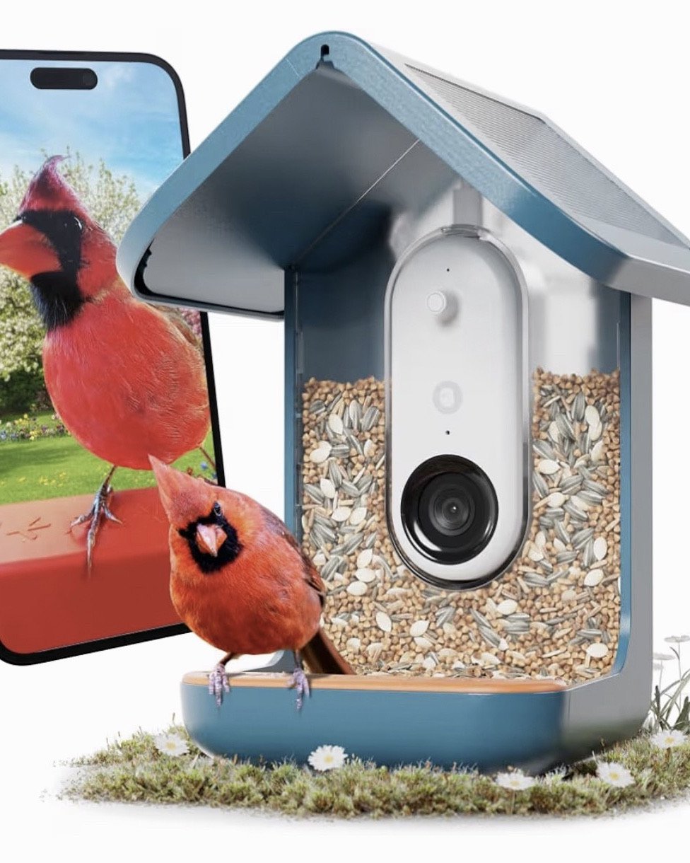 Linked my feeder & some similar that are less expensive. My most prized possession! lol

#LTKHome #LTKSeasonal #LTKdayinmylife