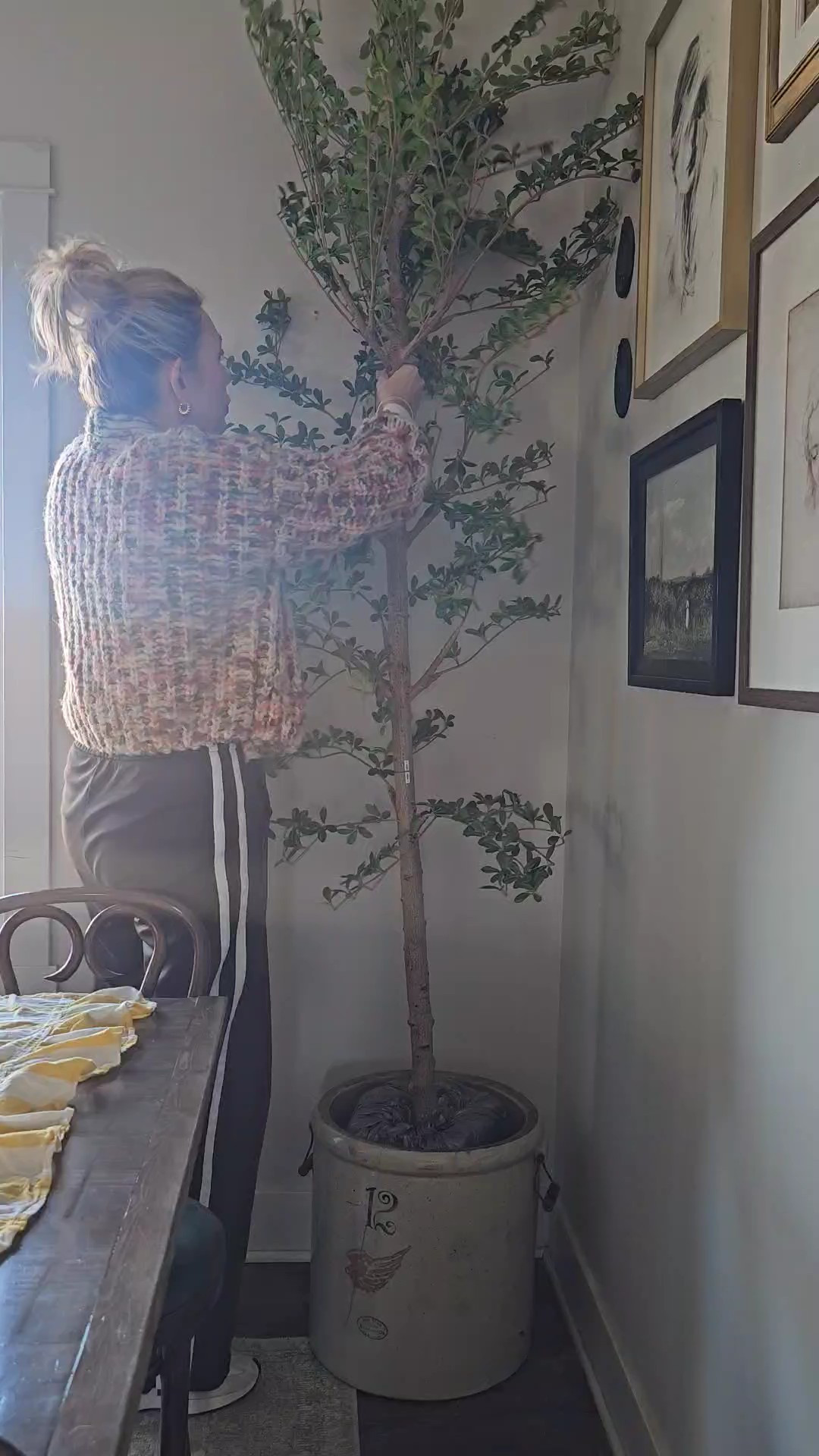 Bought a new shady lady tree and it's amazing.  I have the "new 8 ft" size. It was on crazy sale when I bought it, so heart it to see when it goes back on sale.

#LTKHome #LTKOver40 #LTKTall