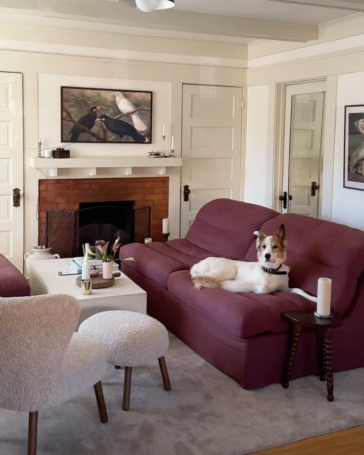 Dukes a big @sixpennyhome fan