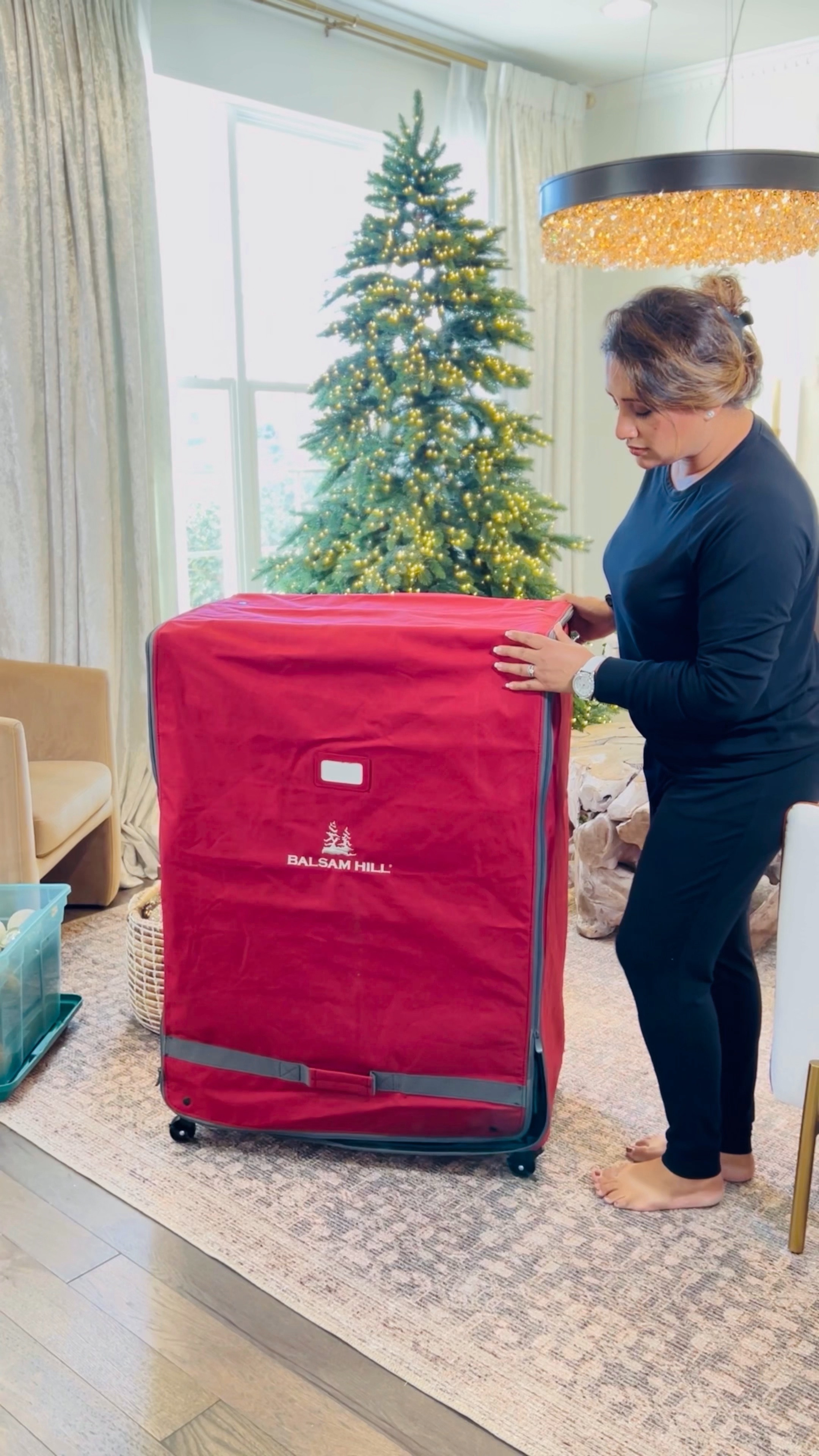 The most functional ornament storage solution for your Christmas tree hands down!!! This is a rolling storage chest from Balsam Hill and it’s a total game changer!! 

Christmas tree
Ornament storage solutions 
Ornament organization 
Christmas storage solution 
Amazon finds 
Amazon must haves 

#LTKSeasonal #LTKGiftGuide #LTKHoliday