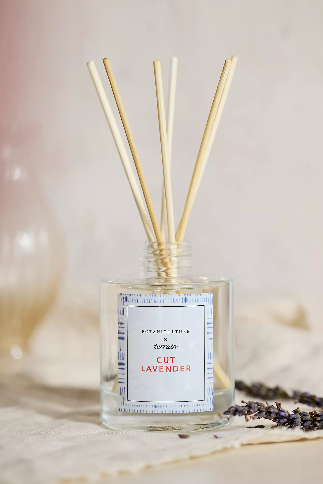 Botaniculture Reed Diffuser | Anthropologie (US)