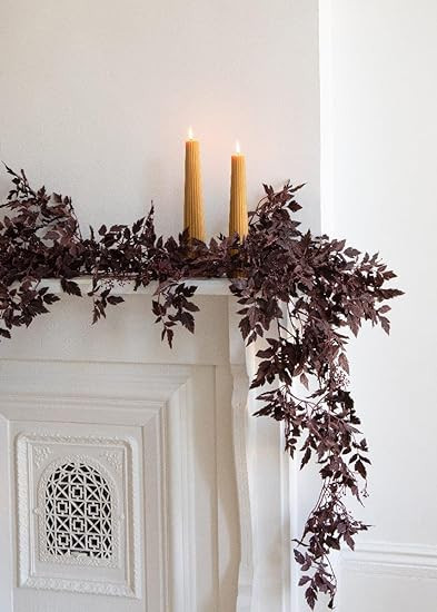 Plum Cimicifuga Seeded Garland - 6' | Amazon (US)
