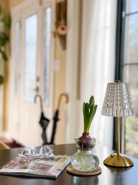 Sunny view, hyacinth ready to bloom! Home decor ideas, flowers, mini table lamp, home decor magazine. Cottage core, English country. 

#LTKhome #LTKMostLoved #LTKstyletip