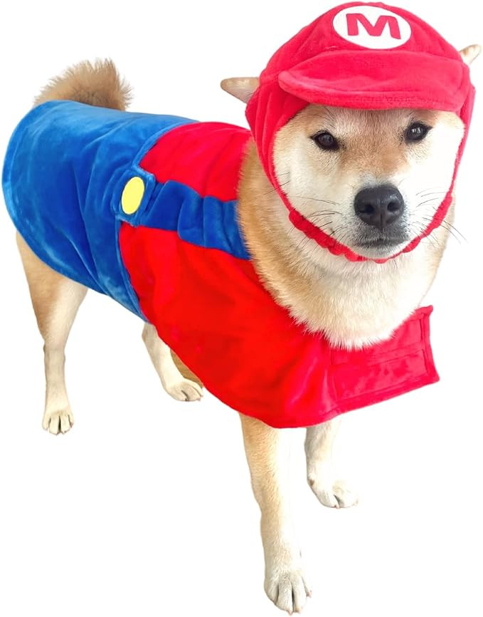 ComfyCamper Hat and Suspenders Dog Costume - X Large Medium Small Lab Star Space Cosplay Hallowee... | Amazon (US)