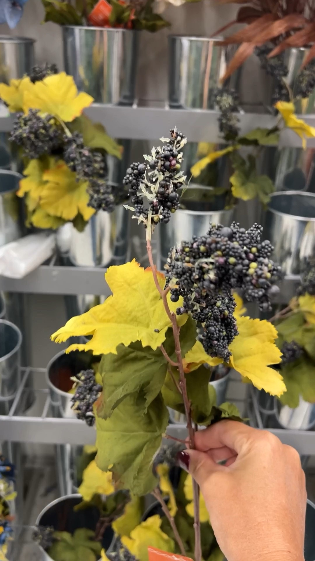 Run to Michael’s because these fall stems are so realistic and under $2!!!

#LTKVideo #LTKSeasonal #LTKHome