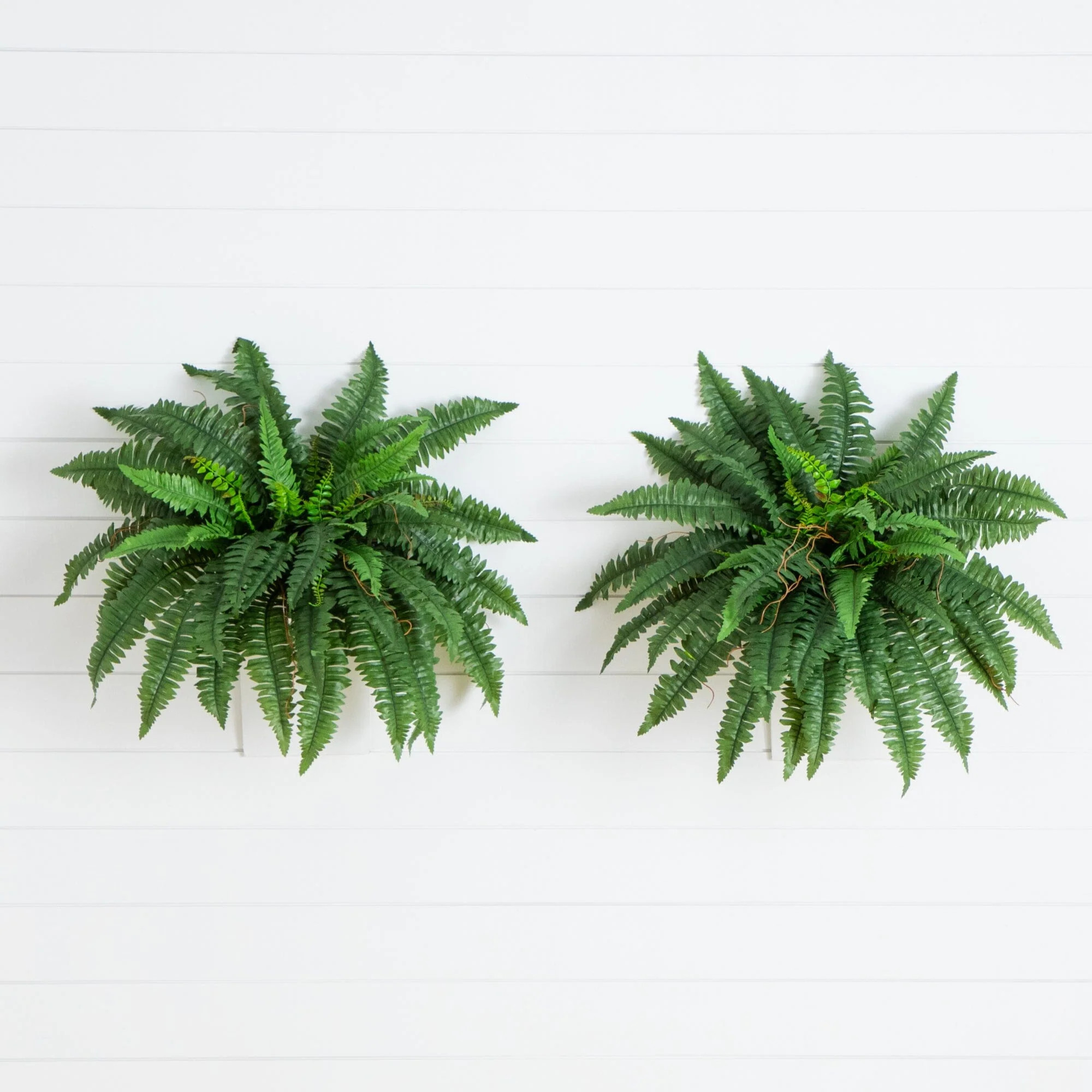 40” Artificial Boston Fern (Set of 2) | Nearly Natural | Nearly Natural