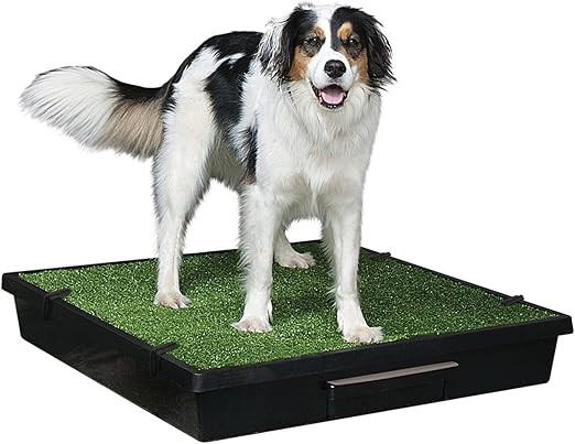 PetSafe Pet Loo Portable Outdoor or Indoor Dog Potty - Reusable Dog Grass Pad with Tray - Alterna... | Amazon (US)