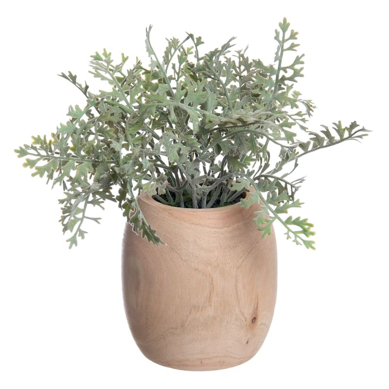 Dusty Miller Faux Plant in Wood Pot, 11" | At Home