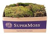 SuperMoss 7 59834 21537 0 Mood Moss, Appx. 3 lb Bulk Case, Natural Dried | Amazon (US)