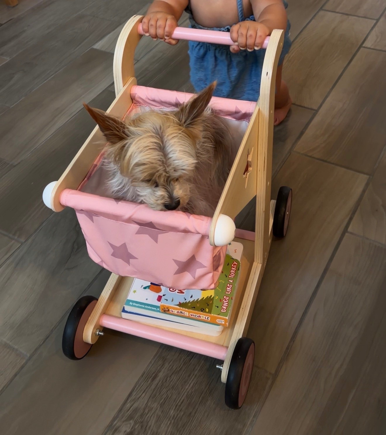 Cutest walker/shopping cart for baby🥹🥰


Baby girl
Baby 
First steps 
Mom life 
Amazon finds 
Found it on Amazon 
Walker 
Baby Walker 
Shopping cart

#LTKBaby #LTKKids #LTKmomlife