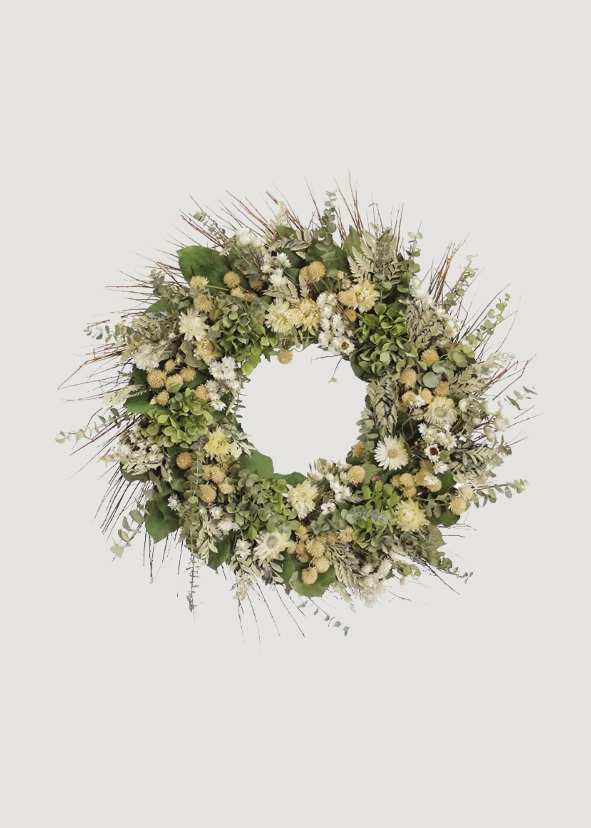 Cream Green Dried Hydrangea Flower and Eucalyptus Wreath - 22" | Afloral