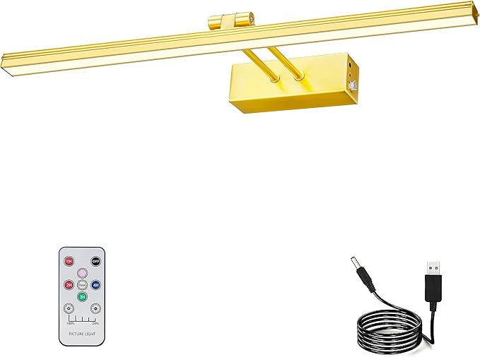 RAIFOOLLY Picture Light,5000mAh Rechargeabl Picture Lights for Paintings,Remote 16" Display Art L... | Amazon (US)