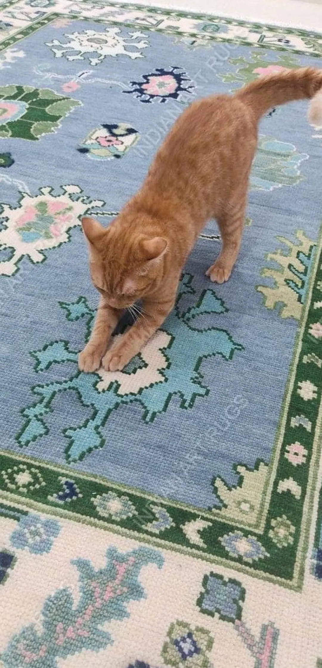 9X12 Sky Blue Beige With Pink and Green Oushak Made to Order in Any Size Geometric Knotted Modern... | Etsy (US)