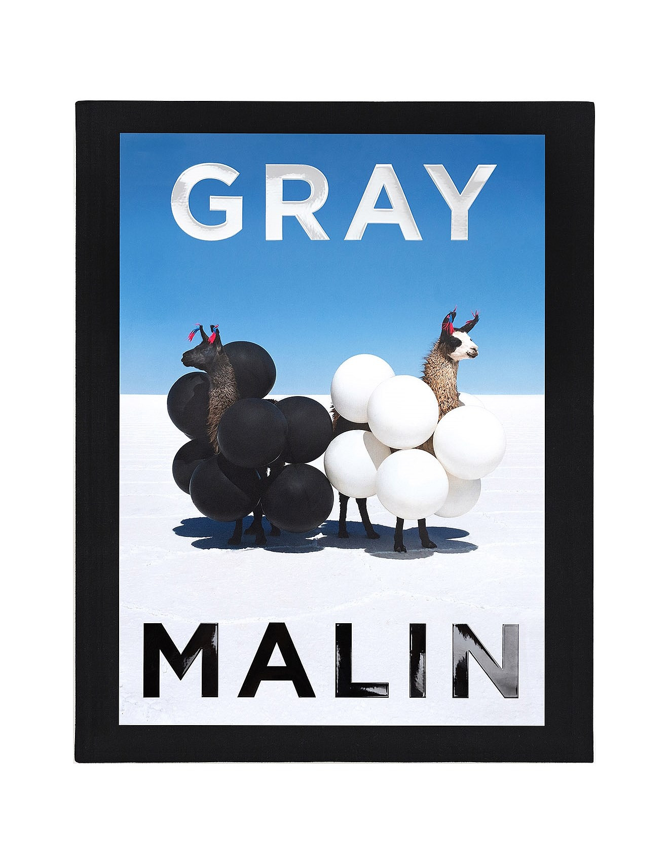 GRAY MALIN: THE ESSENTIAL COLLECTION BY GRAY MALIN | David Jones (Australia & New Zealand)