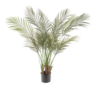 Naturae Décor Artificial Indoor/Outdoor Areca Palm Tree, 47-in | Canadian Tire