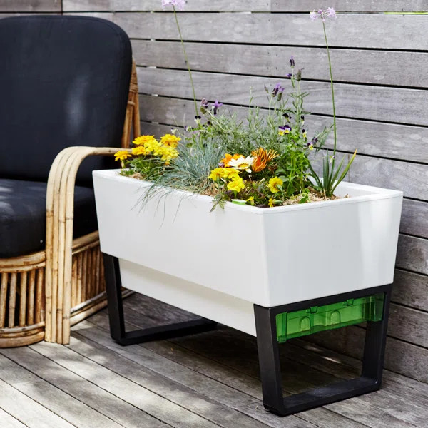 Trotta Self-Watering Plastic Planter Box | Wayfair North America