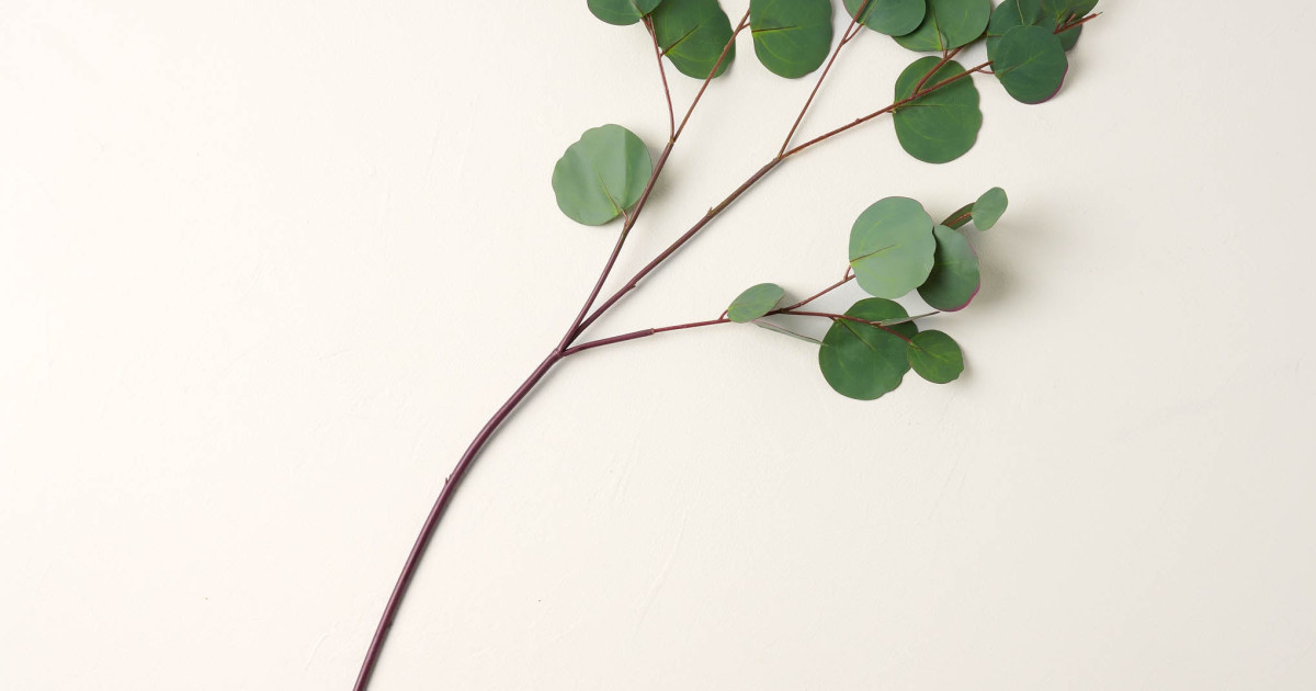 Silver Dollar Eucalyptus Spray | Magnolia