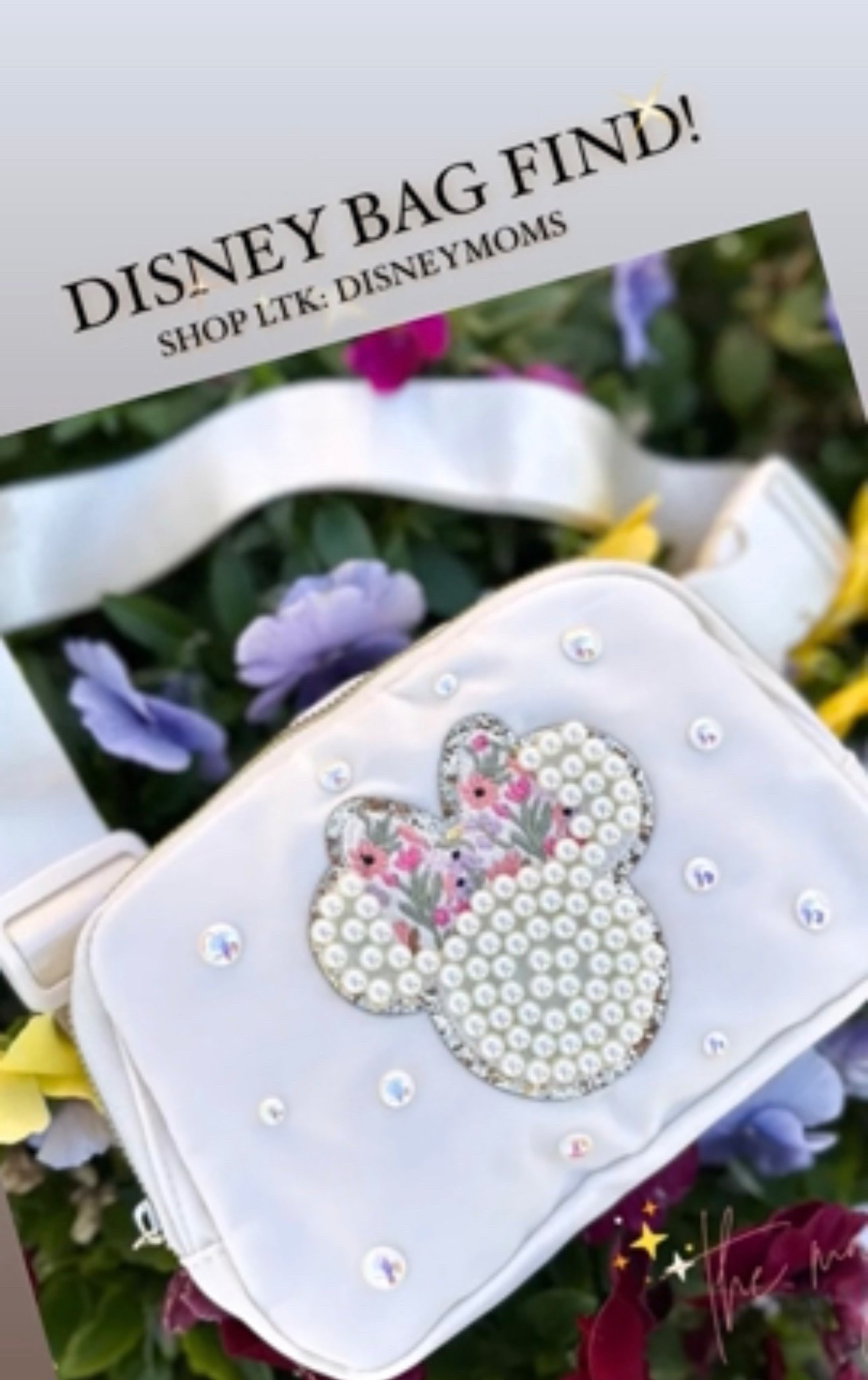 Disney Belt Bags