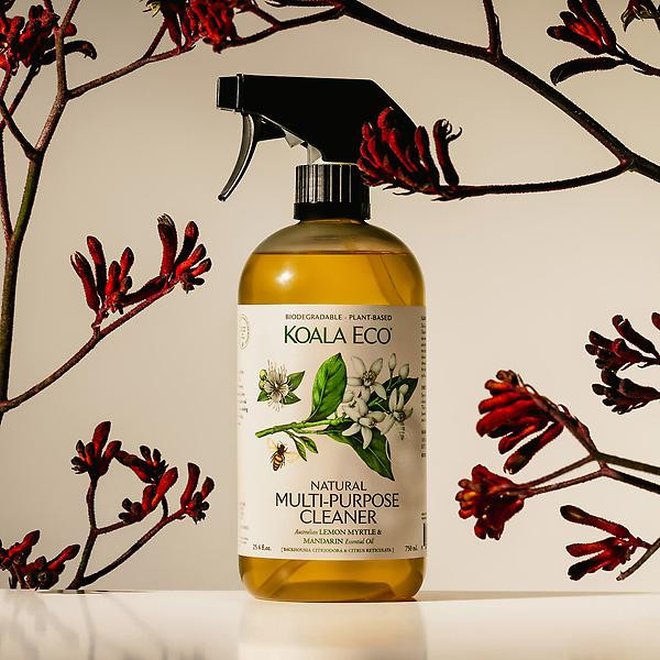 Koala Eco Multi-Purpose Kitchen CleanerBy Koala Eco4.311 Reviews$13.99/eaOr 4 payments of $3.50 w... | The Container Store