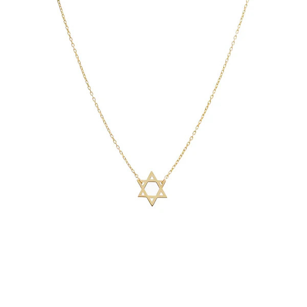 Solid Star of David Necklace 14K | Adina Eden