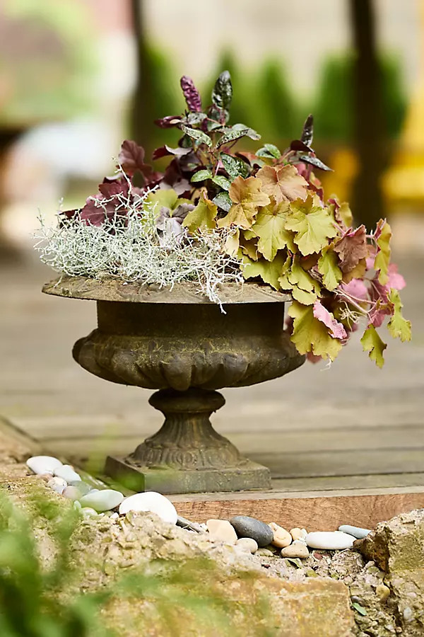 Cast Iron Classical Urn Planter | Terrain