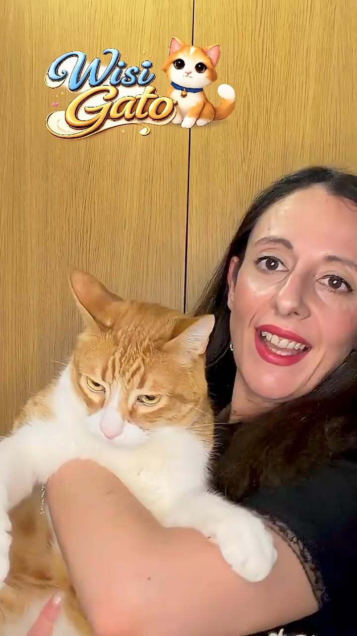 El verdadero protagonista de este canal siempre tiene que hacer su aparición estelar 🐈.

La camisa que llevo es de Rihoas.
Tenéis un descuento en toda la web de Rihoas usando Gato12



#gatos #mascotas #cat #rihoas #gatofeliz

#LTKespana #LTKeurope #LTKsummer