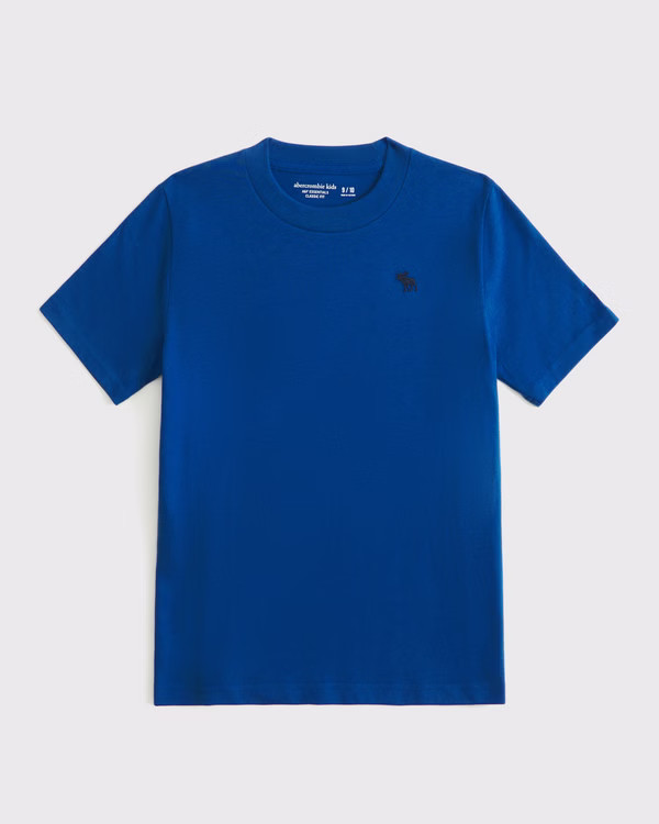 essential icon crew tee | Abercrombie & Fitch (US)