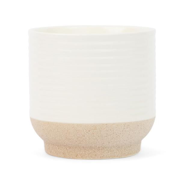 Better Homes & Gardens Salted Coconut & Mahogany 16oz Scented Candle - Walmart.com | Walmart (US)