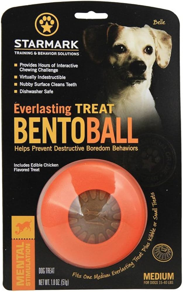 Starmark Everlasting Treat Bento Ball Tough Dog Chew Toy Medium | Amazon (US)