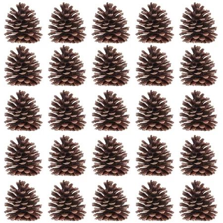 TOYMYTOY 50pcs 6-8cm Christmas Natural Pine Cones Pinecone Decor Xmas Tree Decoration Crafts Home Ho | Walmart (US)
