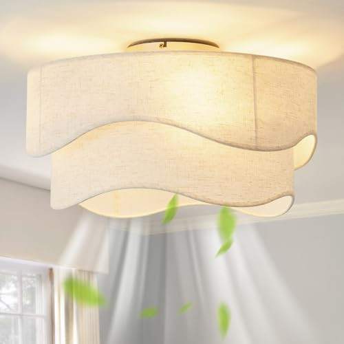 DSYBRI Flush Mount Ceiling Fan with Lights, 20" Low Profile Boho Ceiling Fan with Light Remote Control, Caged with 6 Speeds for Bedroom, Nursery, Living Room | Amazon (US)
