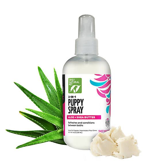Only Natural Pet® 2-in-1 Refreshing Conditioning Puppy Spray - Aloe + Shea Butter - 8 oz | PetSmart