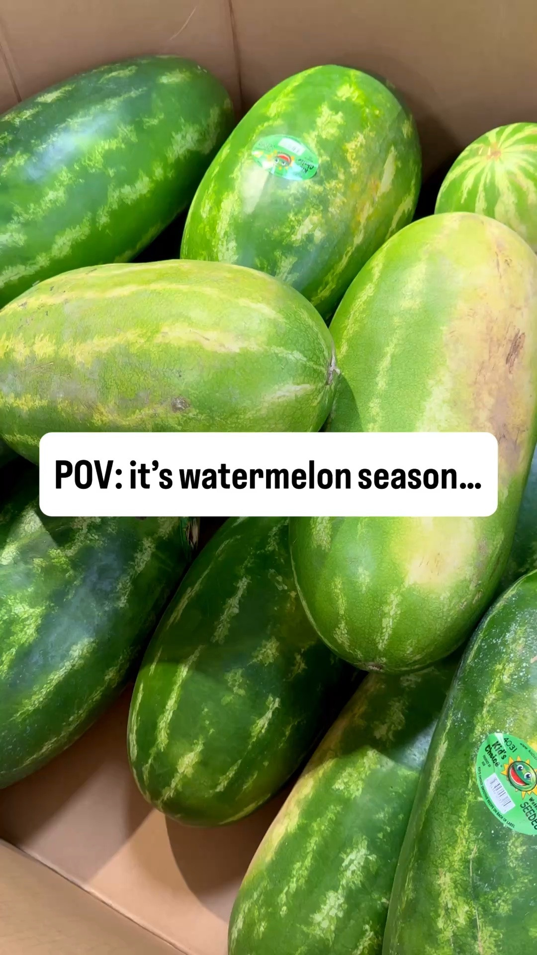 Watermelon season is officially in FULL swing and honestly there’s no better time to start juicing than RIGHT NOW.

Watermelons are powerful, super affordable and yield more juice than almost any other fruit which makes them PERFECT for beginners.

They help with:
Hydration
Bloating
Digestion
Skin health
Refreshing your body during hot summer days
And increasing your fruit intake in the easiest way possible

I challenge you to go grab a BIG watermelon this week and make a fresh batch of juice for yourself and your family.

Trust me, investing in a great juicer was one of the BEST things I ever did for my health journey.

#JuicingWithPriiincesss #WatermelonSeason #WatermelonJuice #NamaJ2 #ColdPressedJuicer JuicingJourney HealthyLifestyle HealthyHabits Hydration GutHealth JuiceRecipes SummerJuice WellnessJourney BatchJuicing HealthyLiving JuicingForHealth AtlantaCreator

#LTKselfcare #LTKfoodie #LTKSeasonal